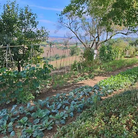 Il Montale Montelabbate Ripe
